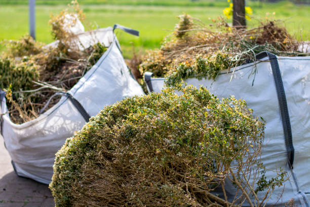 Best Affordable Junk Removal Services  in Schuylkill Haven, PA